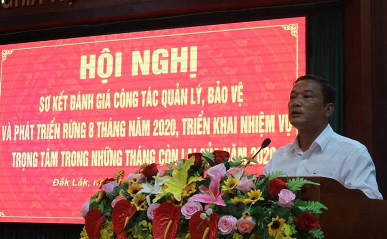 Công tác quản lý bảo vệ, phát triển rừng 8 tháng đầu năm 2020 đạt nhiều kết quả tích cực